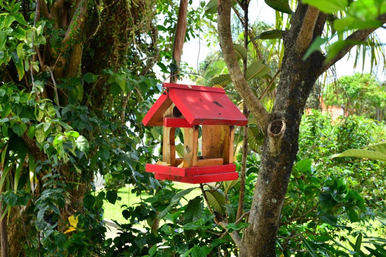 Arquipelago Estalagem